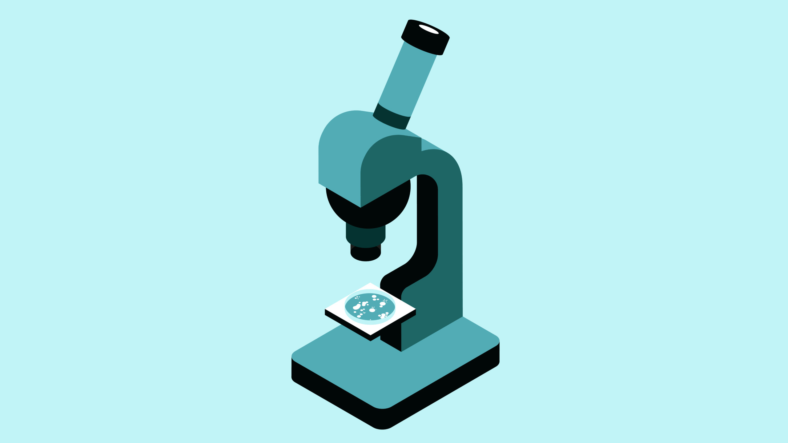 illustration de l'animation: On y voit un microscope avec une boite de pétri