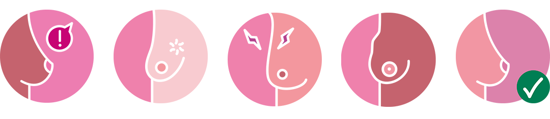 pictogramme de seins, pour illustrer le dépistage